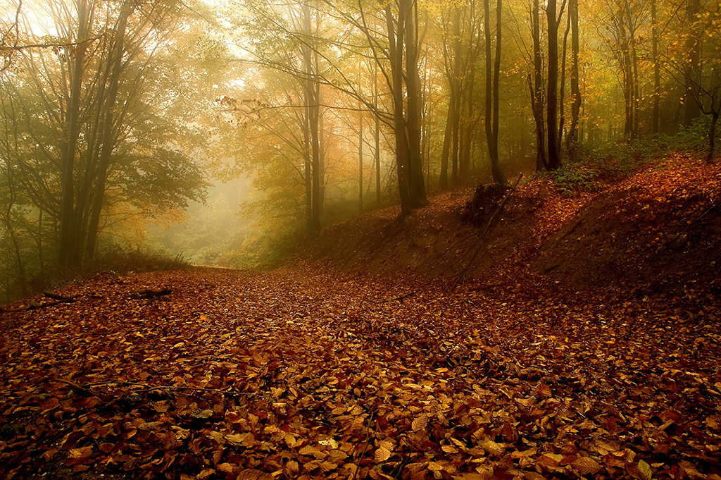 cer planina